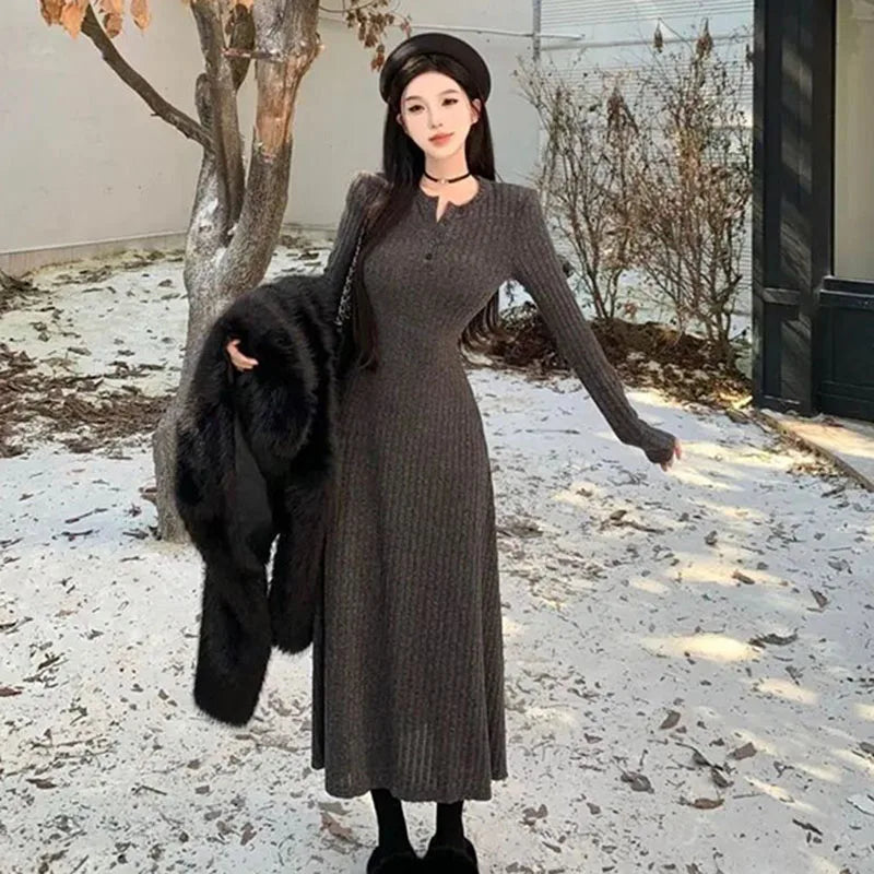Winter Dresses Women New Thicken Slim Elastic A-Line Dress
