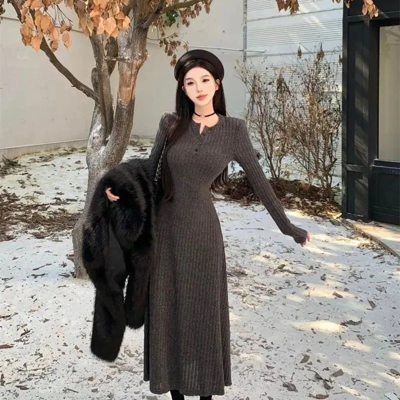 Winter Dresses Women New Thicken Slim Elastic A-Line Dress