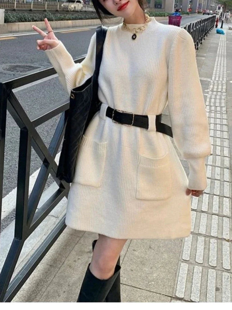 Winter Dress Women New Fashion Double Pockets Short Dresses Ladies Casual Loose Long Dress