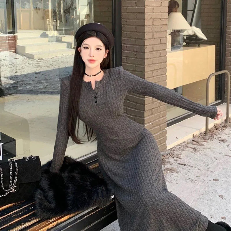 Winter Dresses Women New Thicken Slim Elastic A-Line Dress