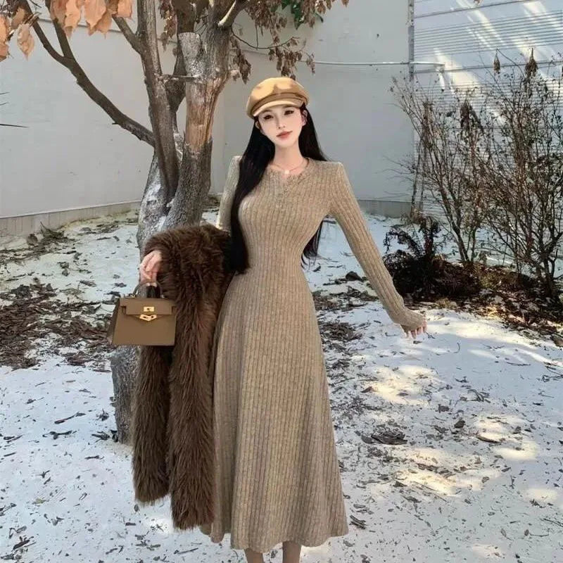 Winter Dresses Women New Thicken Slim Elastic A-Line Dress