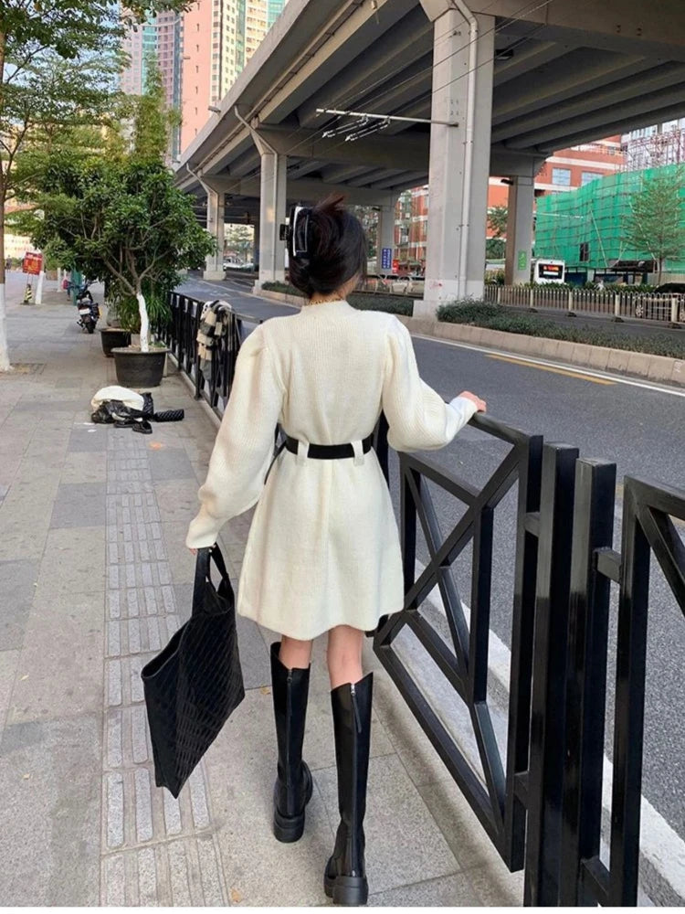Winter Dress Women New Fashion Double Pockets Short Dresses Ladies Casual Loose Long Dress
