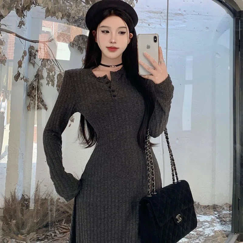 Winter Dresses Women New Thicken Slim Elastic A-Line Dress